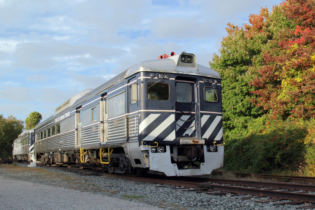 Cape Cod Central Train